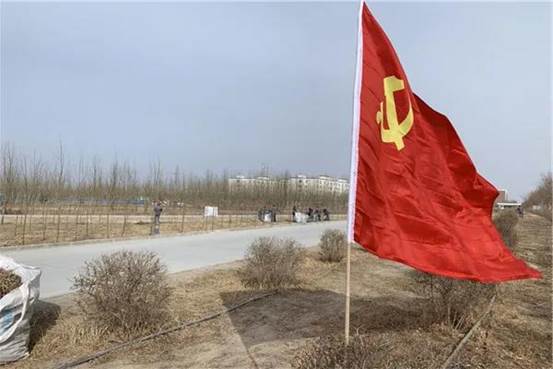 中泰纺织集团植树绿化现场 （沈智芳摄）